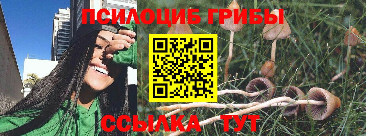 наркота  Вход с VPN  Котлас  Псилоцибиновые грибы MAGIC MUSHROOMS 